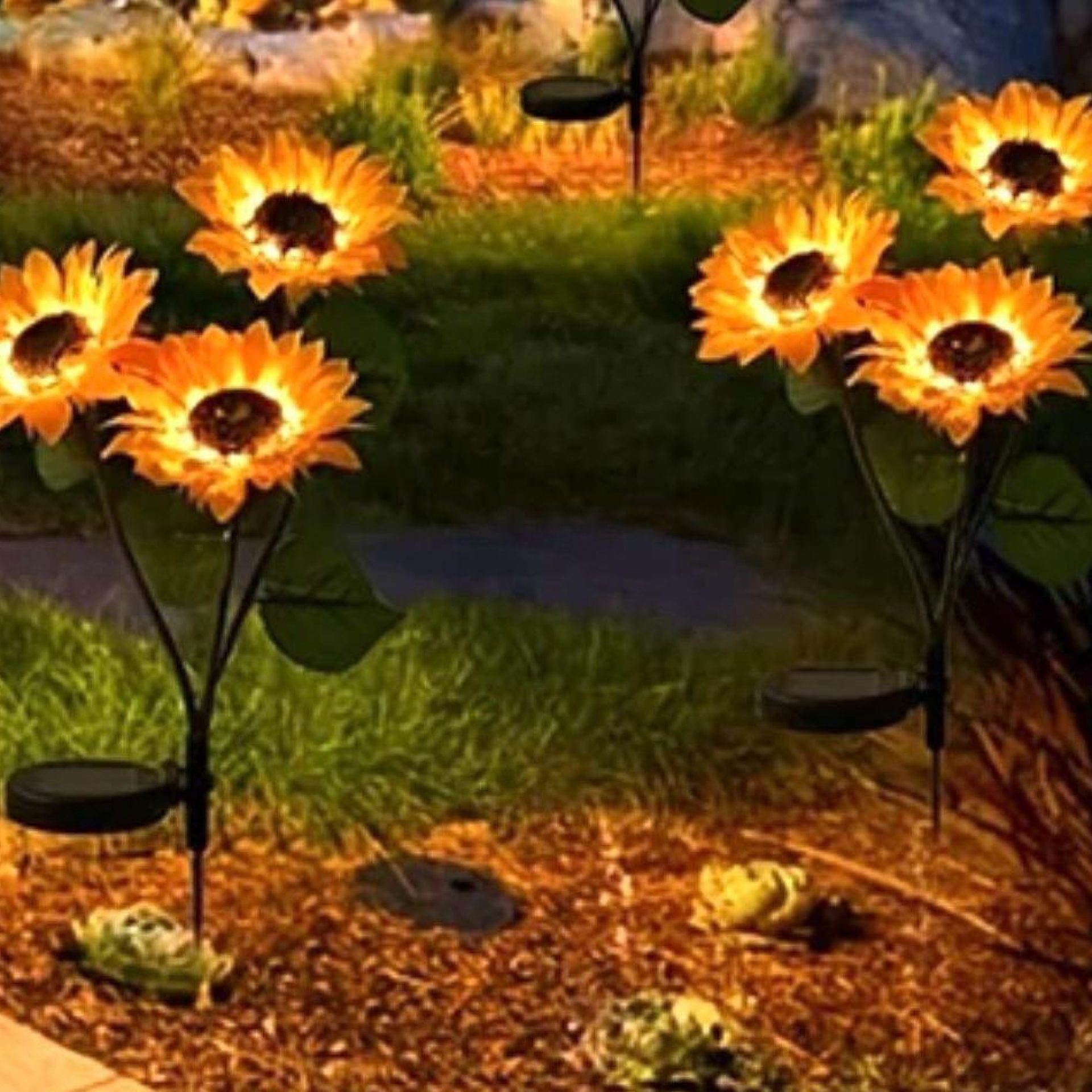 WhatsApp Image 2024-02-27 at 22.30.12 (1)