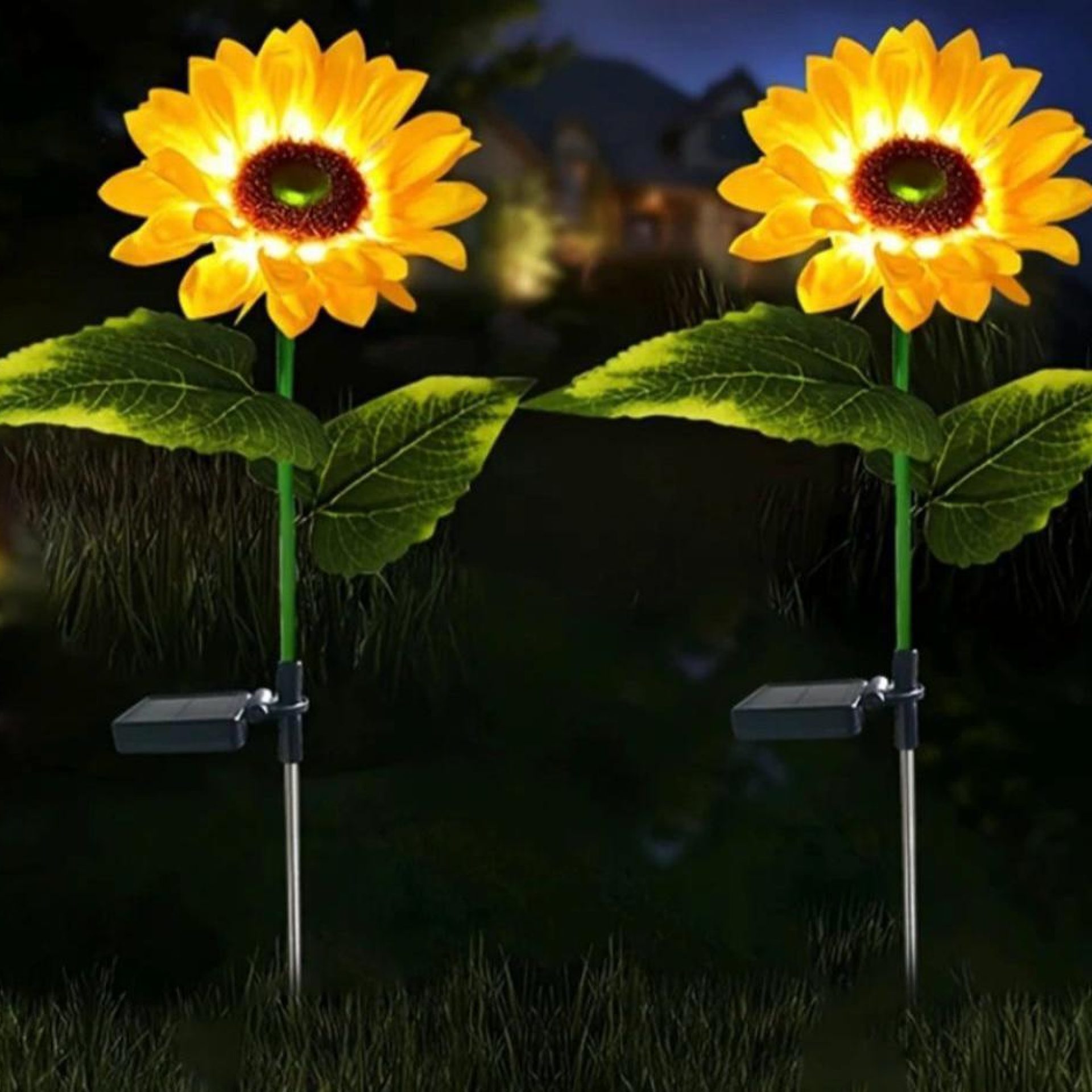 WhatsApp Image 2024-02-27 at 22.30.12